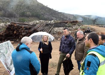 La Diputación concluirá en dos meses el trabajo de regeneración forestal tras el incendio de Montitxelvo