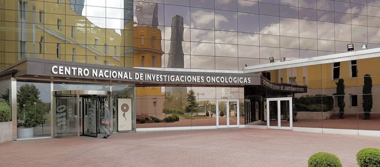 Mariola Penadés,resulta “sorprendente” que ante unas posibles irregularidades en el CNIO,Diana Morant,“no atienda con prioridad la alerta que le hayan podido trasladar desde su propio equipo, dado que ella es la máxima responsable del centro”