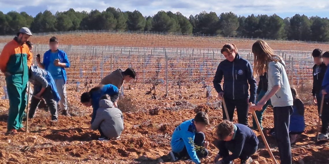 Alumnos de la Escuela Félix Jiménez celebran el Día del Árbol con los colegios de Requena