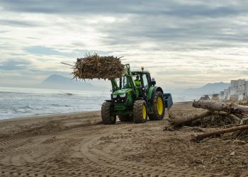 La Diputació pone en marcha en Daimús su dispositivo para la limpieza de playas afectadas por la dana