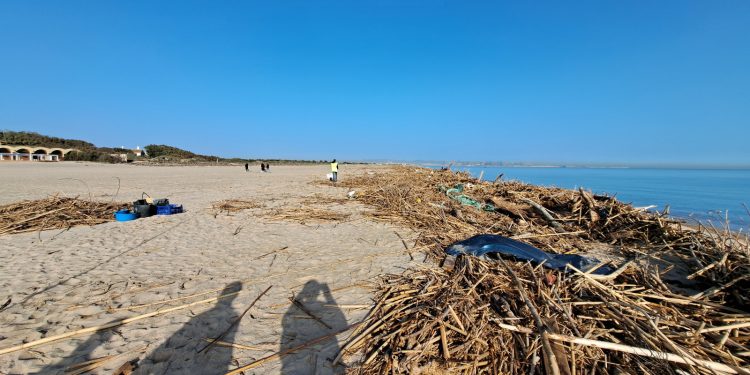 Valencia exige al Gobierno de Sánchez que inicie con urgència la limpieza de las playas como reclaman vecinos y hosteleros