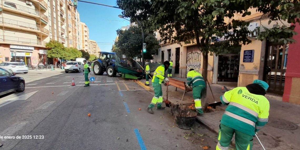 Se inicia la retirada de naranjas de 8.819 árboles ornamentales en la Ciudad de Valencia