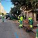 Se inicia la retirada de naranjas de 8.819 árboles ornamentales en la Ciudad de Valencia