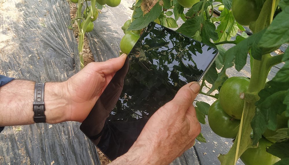 AVA-ASAJA critica la obligación en 2026 de registrar electrónicamente los tratamientos fitosanitarios