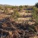 AVA-ASAJA recuerda al Gobierno que las ayudas de la DANA dejan fuera a afectados sin ingresos agrarios en 2023