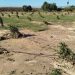 AVA-ASAJA valora que la Conselleria mantenga ayudas pese a los incumplimientos del Gobierno por la DANA
