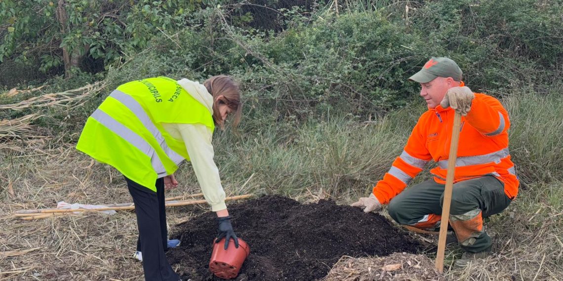 Sueca celebra el Día del Árbol con la plantación de 28 ejemplares de diversas especies