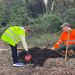 Sueca celebra el Día del Árbol con la plantación de 28 ejemplares de diversas especies