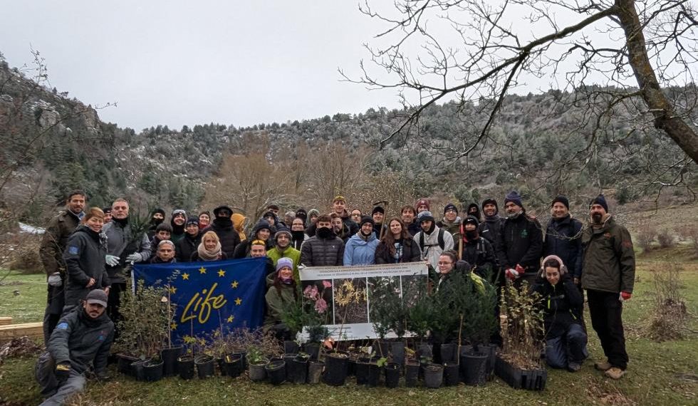 El proyecto LIFE Teixeres de la Generalitat contó con más de un millar de participantes en sus actividades de conservación de los bosques de tejo durante 2024