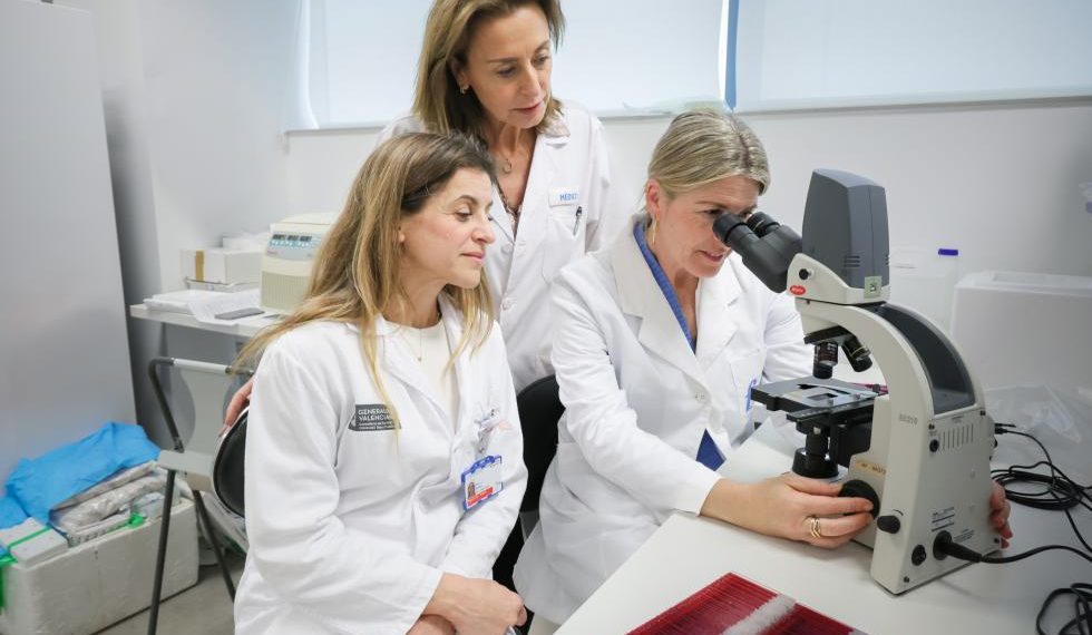La Fe, el IIS La Fe y el IVI investigan un biomaterial para fertilidad a partir de tejido ovárico descelularizado