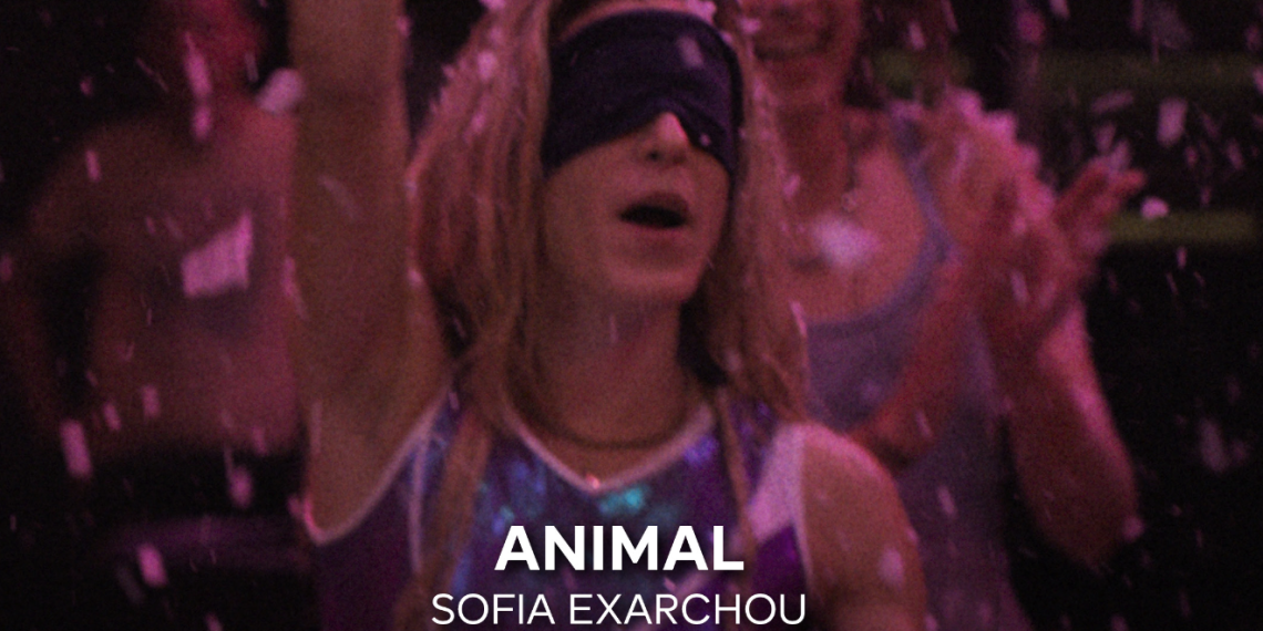 Torrent proyectará la película «Animal», finalista de los Premios LUX de la Unión Europea