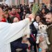 Torrent celebra la Gran bendición de animales en honor a Sant Antoni Abat