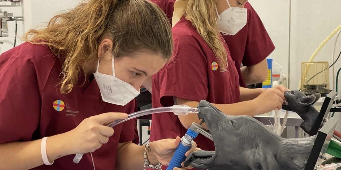 La Universidad CEU Cardenal Herrera crea un laboratorio de investigación para evaluar tecnologías aplicadas a la innovación docente en Veterinaria