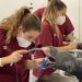 La Universidad CEU Cardenal Herrera crea un laboratorio de investigación para evaluar tecnologías aplicadas a la innovación docente en Veterinaria