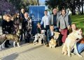 Torrent se prepara para acoger la I Exposición Internacional Canina ‘Ciutat de Torrent’