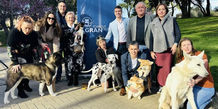 Torrent se prepara para acoger la I Exposición Internacional Canina ‘Ciutat de Torrent’