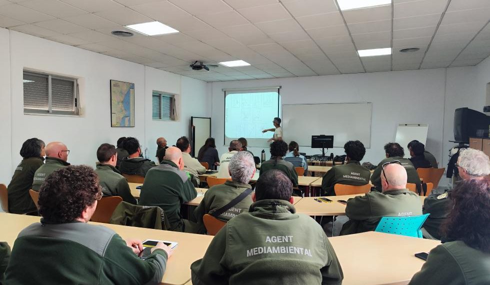 La Generalitat forma a los agentes medioambientales en protección de árboles monumentales de la Comunitat Valenciana