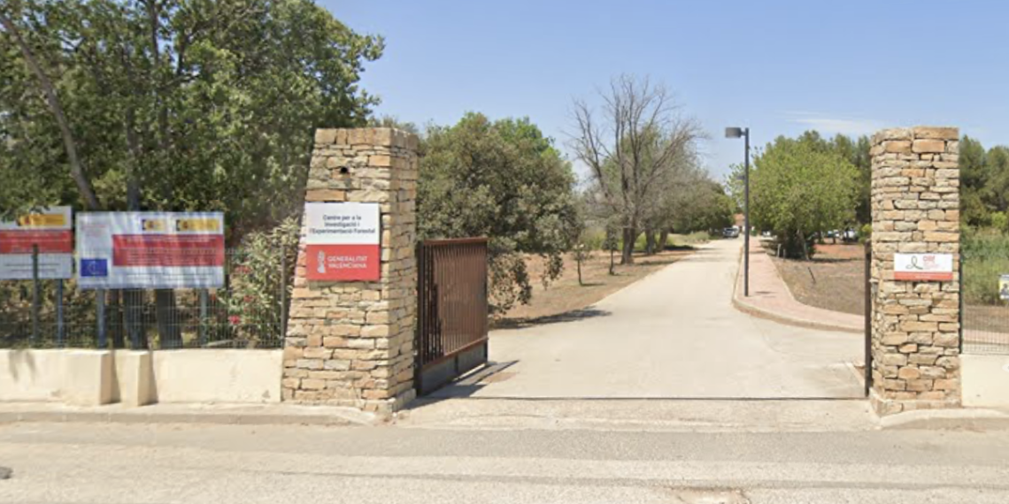 Aprobada la contratación de urgencia para reparar las infraestructuras del CIEF afectadas por las inundaciones de octubre