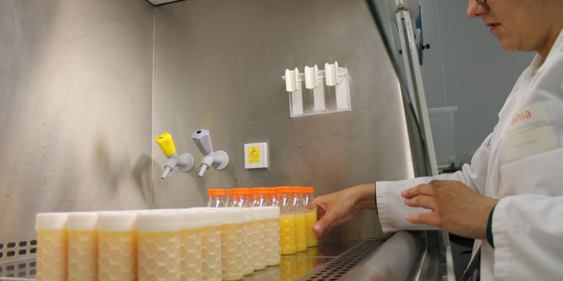 Ivace+i convoca ayudas para financiar proyectos de investigación