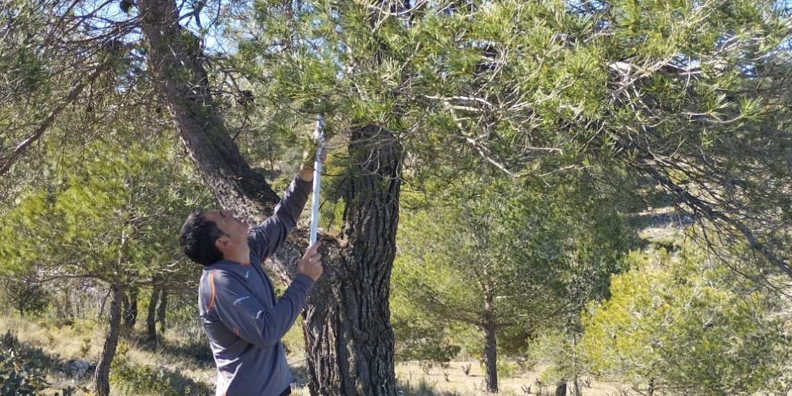 El proyecto MONAU refuerza la conservación de aves forestales en Sinarcas con un récord de ocupación en sus cajas nido