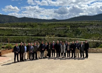 AINIA consolida su crecimiento en 2024 y refuerza su compromiso con la innovación tecnológica