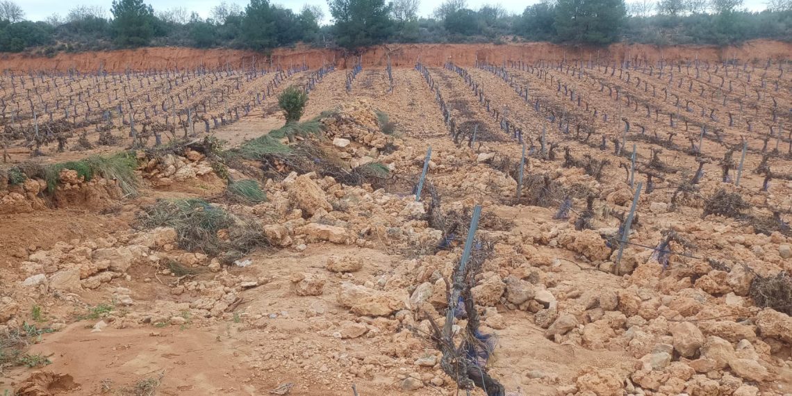 AVA-ASAJA: «Los viticultores reclaman ya las reparaciones de la DANA ante el inicio de la brotación»