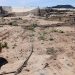 Un vivero afectado por la DANA sufre robos de maquinaria y cobre con daños de 150.000 euros