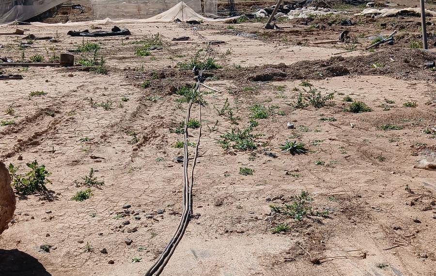 Un vivero afectado por la DANA sufre robos de maquinaria y cobre con daños de 150.000 euros