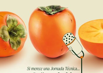 AVA-ASAJA, AEKAKI e IVIA organizan mañana en la CEV una jornada sobre los retos del kaki