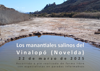 La Diputación celebra este sábado el Día Mundial del Agua con una ruta por los manantiales salinos del Vinalopó en Novelda