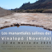 La Diputación celebra este sábado el Día Mundial del Agua con una ruta por los manantiales salinos del Vinalopó en Novelda