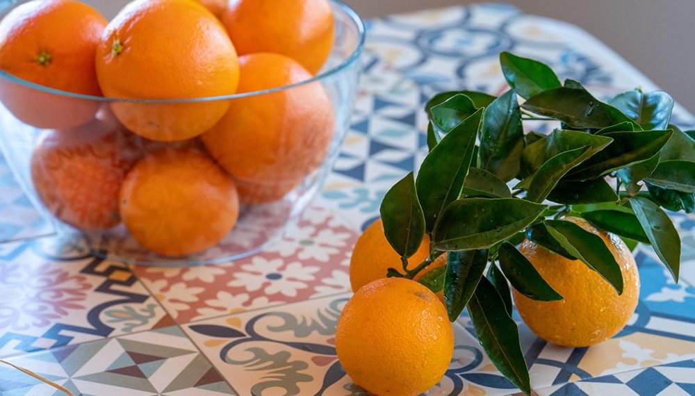 Intercitrus llega a un acuerdo sobre promoción, polinización cruzada y prevención del HLB
