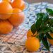 Intercitrus llega a un acuerdo sobre promoción, polinización cruzada y prevención del HLB
