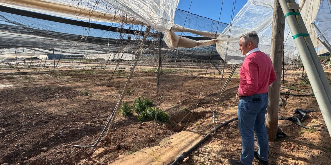 Miguel Barrachina destaca la inversión de la Generalitat de 5,3 millones para la recuperación de los viveros y los cultivos hortícolas