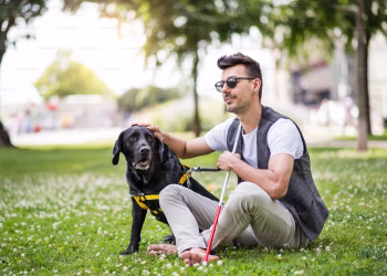 La Generalitat aprobará el anteproyecto de Ley de perros de asistencia para garantizar el acceso de sus usuarios a espacios públicos y privados colectivos