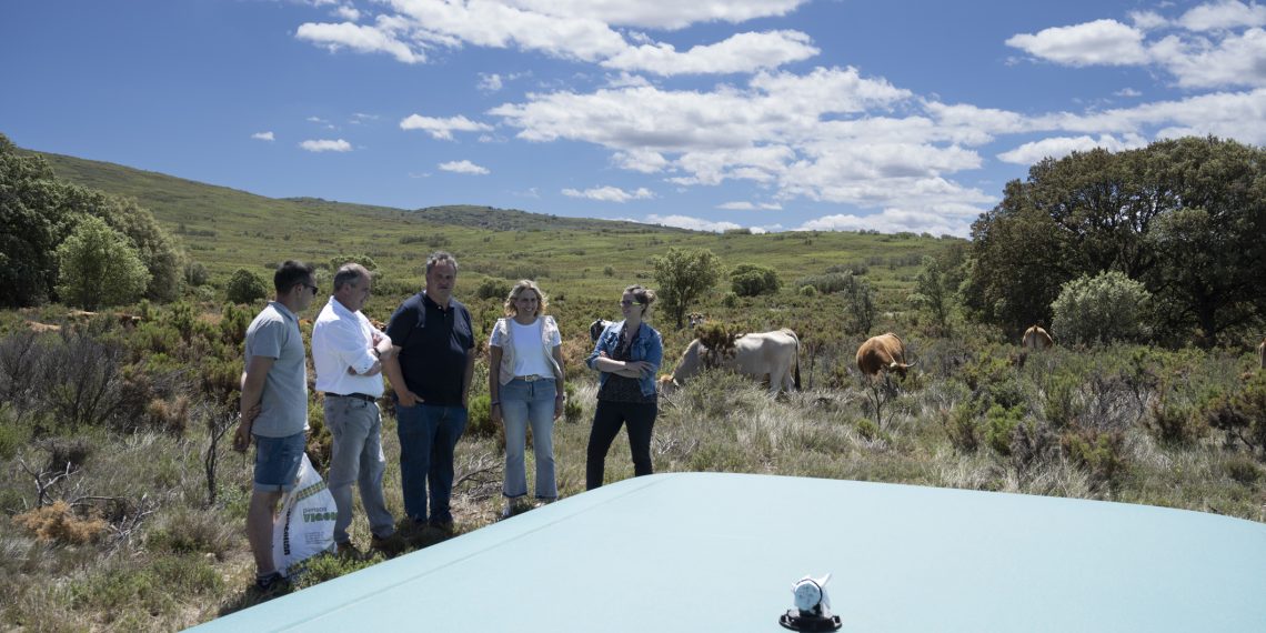 La Diputación de Castellón acerca a los ganaderos castellonenses los resultados de la prueba piloto del proyecto de vallado y pastoreo virtual