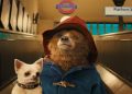 La Filmoteca Valenciana proyecta ‘Paddington’ este fin de semana