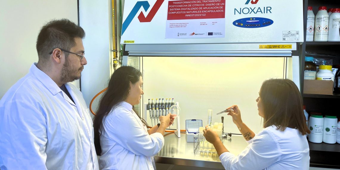 Ivace+i Innovación financia un nuevo sistema para proteger los cítricos tras su cosecha