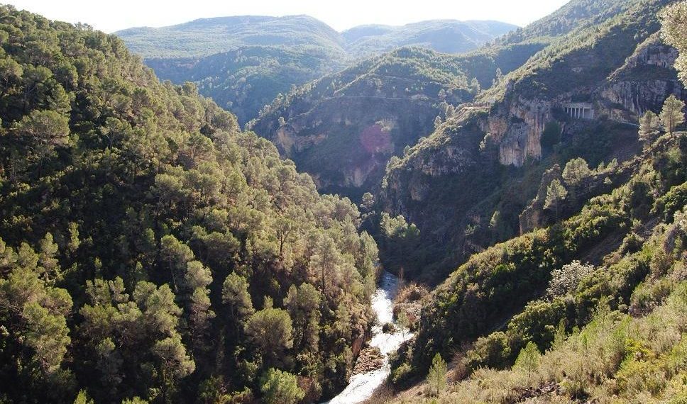 Medio Ambiente prohíbe el uso del fuego en terrenos forestales durante la Semana Santa y Pascua