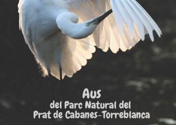 La nueva Guía de Aves de Parque Natural del Prat de Cabanes-Torreblanca documenta 237 aves