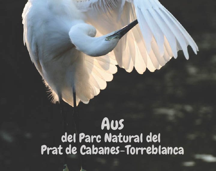 La nueva Guía de Aves de Parque Natural del Prat de Cabanes-Torreblanca documenta 237 aves