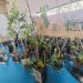 Un proyecto solidario recupera el jardín de un colegio de Alfafar tras los daños de las riadas con apoyo de Medio Ambiente