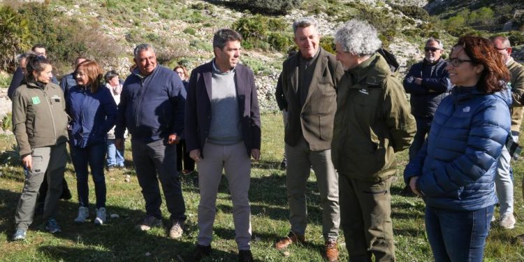 Carlos Mazón: “Ponemos en marcha ayudas al pastoreo para favorecer la prevención de incendios forestales e impulsar la ganadería extensiva”