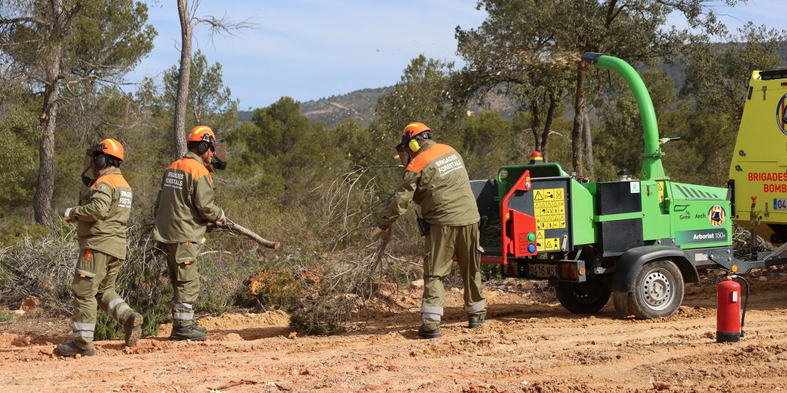 Utiel refuerza su defensa contra incendios con una faja forestal de 30 metros en Casas de Medina y el Hontanar
