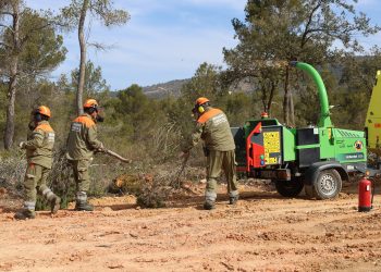 Utiel refuerza su defensa contra incendios con una faja forestal de 30 metros en Casas de Medina y el Hontanar