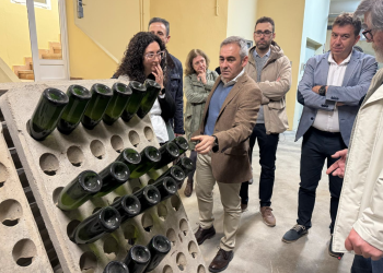 La Generalitat impulsa la proyección internacional del vino valenciano con una inversión de más de 2 millones de euros