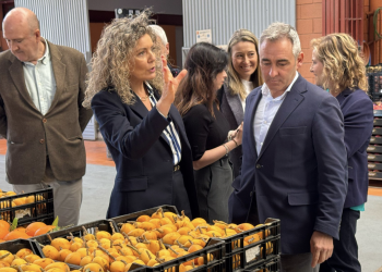 La Generalitat impulsa el sector agroalimentario con 89 millones en 2025