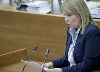 Camarero presenta la nueva Ley del Voluntariado valenciano