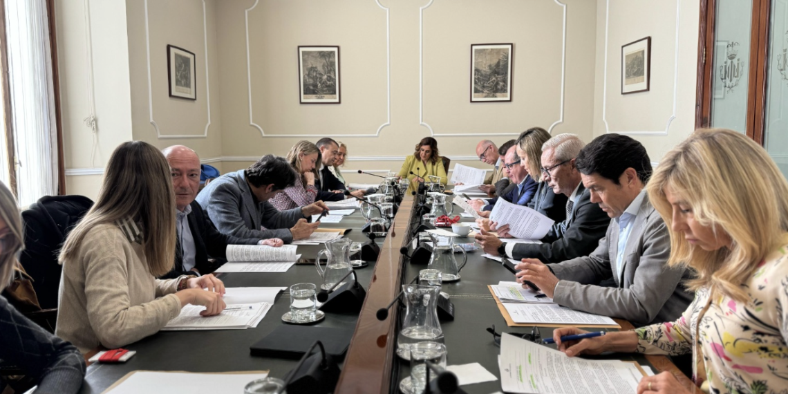 Aprobada la modificación de crédito de 29 millones para reducir deuda y apoyar a las víctimas de la DANA