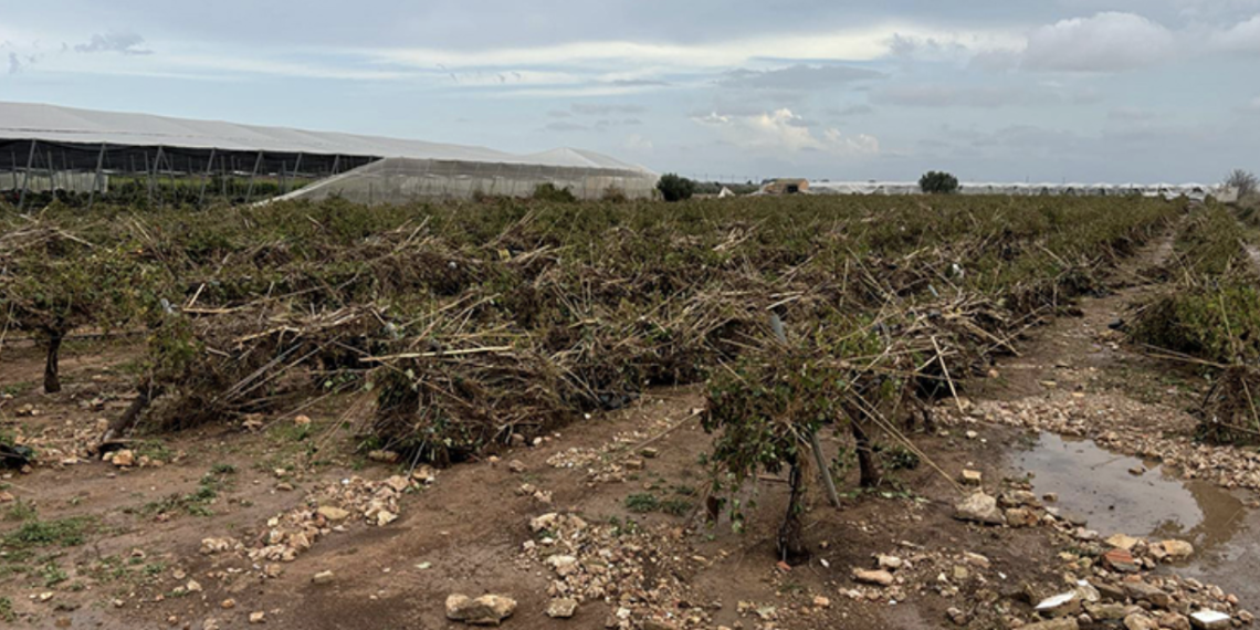 AVA-ASAJA valora la rebaja de módulos pero “esperaba más” tras el peor año del campo valenciano